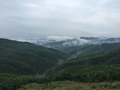 -蔡伦竹海