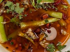 -杨氏青龙虾·羊蝎子(珠江路店)