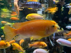 -太平洋海底世界