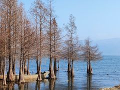 -大理洱海