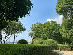 -燕鸣岛