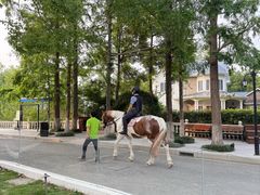 -J Create城市露营咖啡·简餐·宠物(上海动物园店)