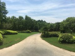 -东平国家森林公园