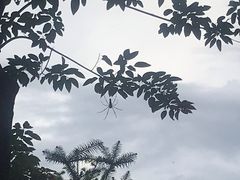 -田心森林公园