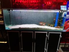 水产区-千百味红餐厅·江西菜(绿地双子塔店)