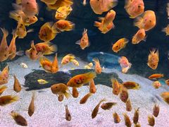 -常州海昌海洋探索馆