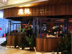 门面-大树餐厅(益田假日店)