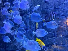 -成都浩海立方海洋公园