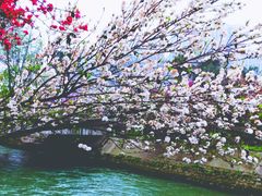 -蜀绣公园