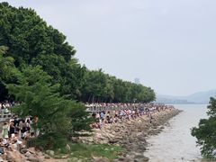 -深圳湾公园(南山区)