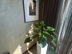 -上海锦江汤臣洲际大酒店