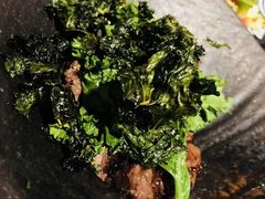 -Apollo·西班牙小酒馆(安福路店)