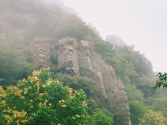 -阳台山自然风景区