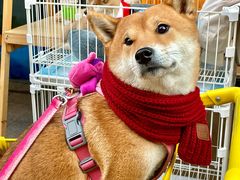 -佛山京华广场MALL