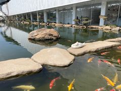 -罗红摄影艺术馆