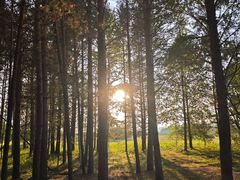 -北极村旅游风景区