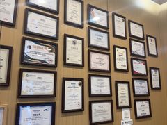 -小伙伴宠物医院•急重症转诊中心·老年专科·犬猫全科(北大街总院)