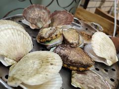 -九层海鲜塔(市南店)