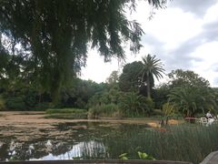 -墨尔本皇家植物园