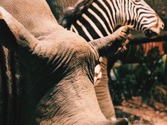 -陕西自然博物馆