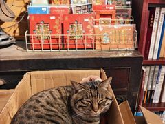 -正阳书局(西四南大街店)