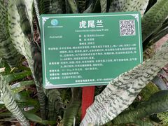 -广西壮族自治区药用植物园