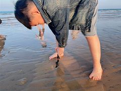 -日照海滨国家森林公园