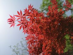 -南京珍珠泉风景区
