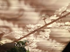 景观位-杏花堂·山西菜馆(晋中万达店)