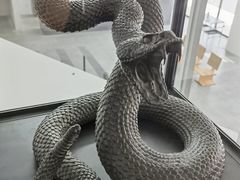 -中央广播电视总台(光华路办公区)