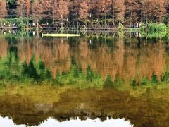 -重庆彩云湖湿地公园