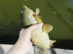 -酷鱼垂钓CLUB(朝阳区博大路店 )