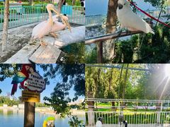 -水上乐园·欢乐世界