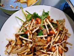 折耳根-亮欢寨快活林 酸汤鱼(仁怀店)