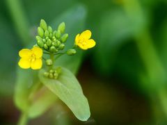 -昆山城市生态森林公园