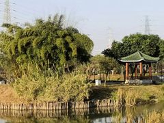 -王借岗森林公园