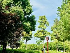 -眉山湿地公园(东坡区)