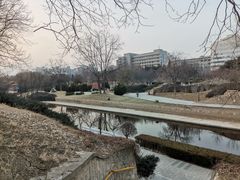 -元大都城垣遗址公园