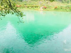 -靖西鹅泉风景区