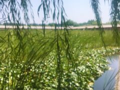 -河北村民俗体验园