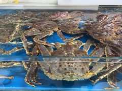 -王四营海鲜市场