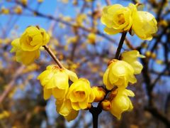 -白塘生态植物园