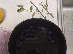 -乐乐鲜果水果超市(河北店)