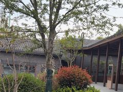 -东明山森林公园