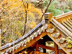 -藏龙百瀑风景区