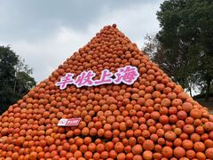 -上海月湖雕塑公园