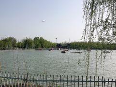 -祥源·阜阳生态乐园