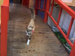 -白兔子密室(长寿路店)