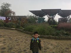 -上海长兴岛郊野公园