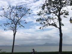 -深圳湾公园(南山区)